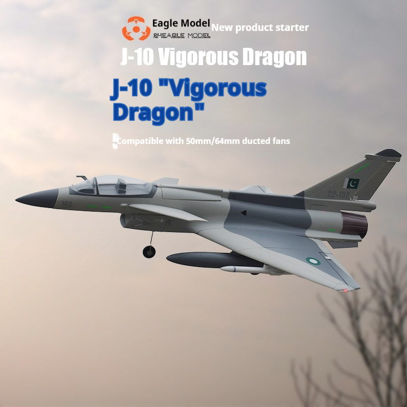 Avião de Controle Remoto Rheag - Model Kit Dragon avaliação e preço